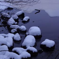 Pierres couvertes de neige dans la rivière